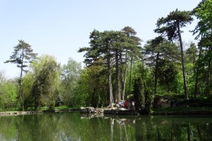 Асканія-Нова